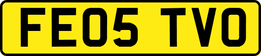 FE05TVO