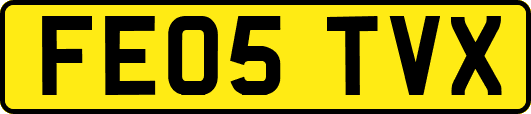 FE05TVX