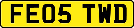 FE05TWD