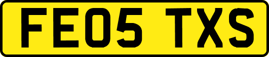 FE05TXS