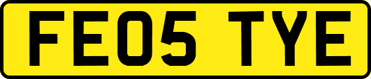 FE05TYE