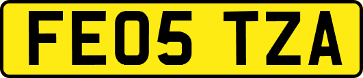 FE05TZA