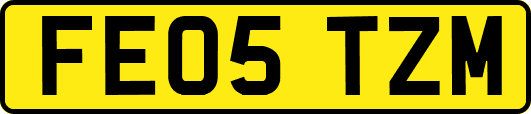 FE05TZM