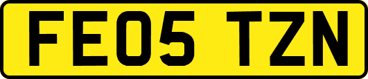 FE05TZN