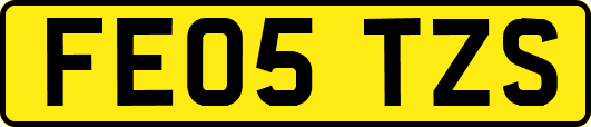 FE05TZS