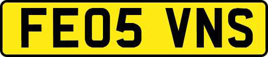 FE05VNS