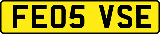 FE05VSE