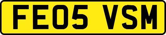 FE05VSM