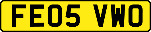 FE05VWO