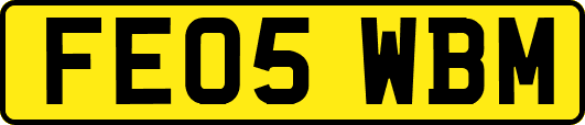 FE05WBM