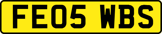 FE05WBS