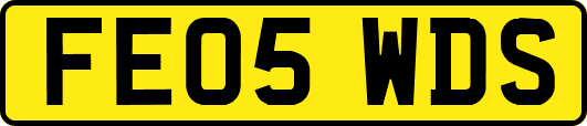 FE05WDS