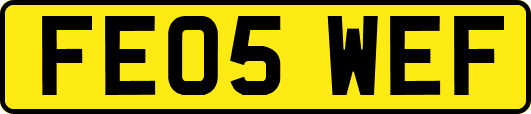 FE05WEF