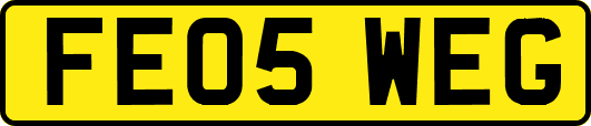 FE05WEG