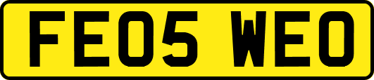FE05WEO