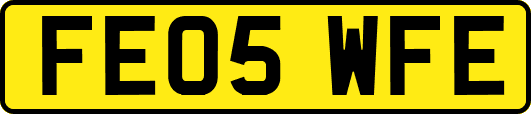 FE05WFE