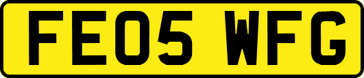 FE05WFG