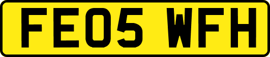 FE05WFH