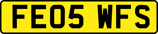 FE05WFS