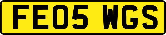FE05WGS