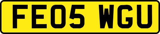 FE05WGU