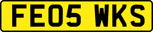 FE05WKS