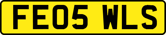 FE05WLS