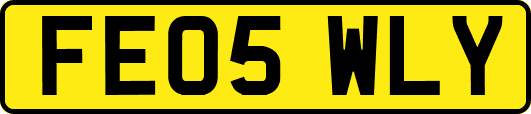 FE05WLY