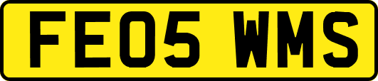 FE05WMS