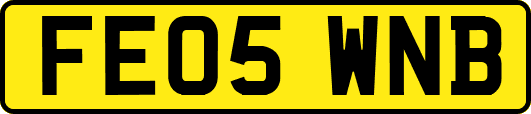 FE05WNB