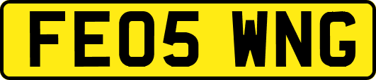 FE05WNG
