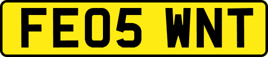 FE05WNT