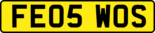 FE05WOS