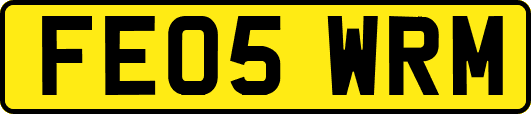 FE05WRM
