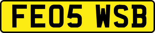 FE05WSB