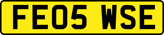 FE05WSE