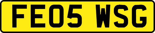 FE05WSG
