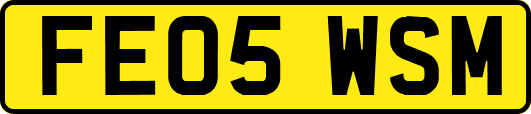 FE05WSM