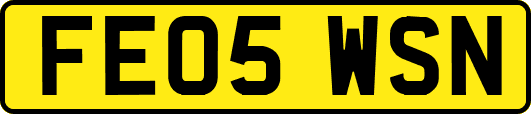FE05WSN