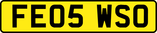 FE05WSO