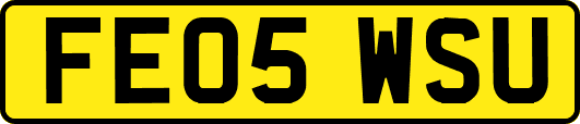 FE05WSU