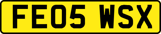 FE05WSX