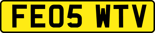 FE05WTV