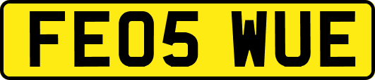 FE05WUE
