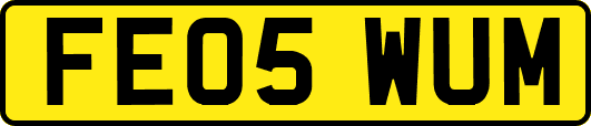 FE05WUM