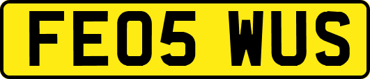 FE05WUS