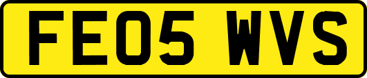 FE05WVS