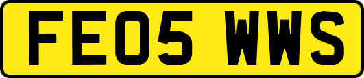 FE05WWS