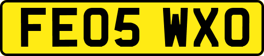 FE05WXO