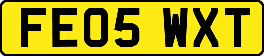 FE05WXT